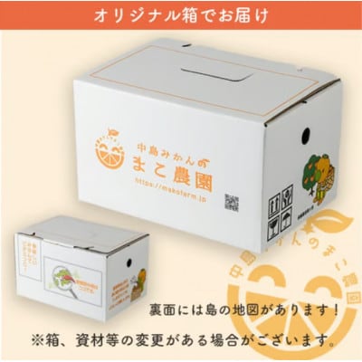 【2027年3月下旬から順次発送予定】中島産 カラマンダリン 約2.5kg 中島みかんのまこ農園