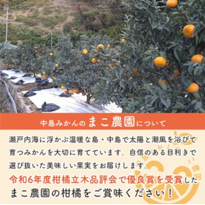 【2027年3月下旬から順次発送予定】中島産 カラマンダリン 約2.5kg 中島みかんのまこ農園