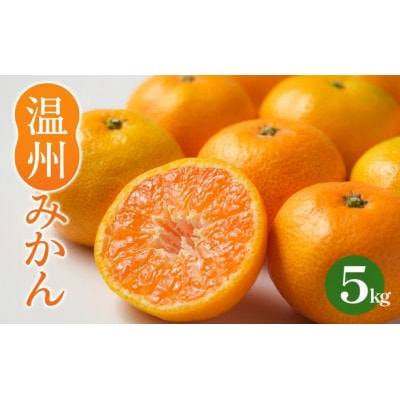 温州みかん 愛媛産　5kg