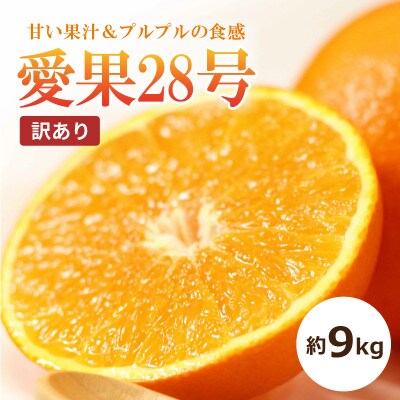 【2026年11月中旬頃から順次発送予定】【訳あり】愛果28号　約9kg