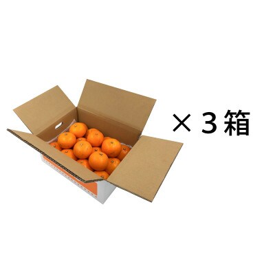 【2026年11月中旬頃から順次発送予定】【訳あり】愛果28号　約9kg