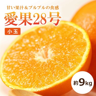 【2026年11月中旬頃から順次発送予定】【小玉】愛果28号　約9kg