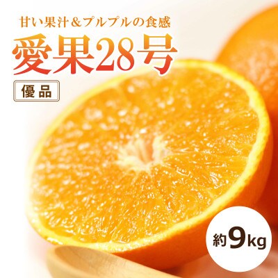 【2026年11月中旬頃から順次発送予定】愛果28号【家庭用・優品】約9kg