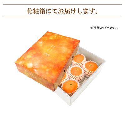 【2026年11月中旬頃から順次発送予定】愛果《秀品》約1.5kg　化粧箱入　×2箱
