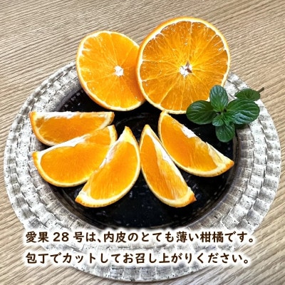 【2026年12月中旬から順次発送】 愛果28号 (家庭用) 約2kg
