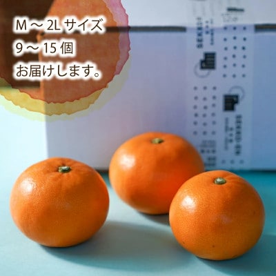 【2027年3月頃から順次発送】 せとか (家庭用) 約2kg