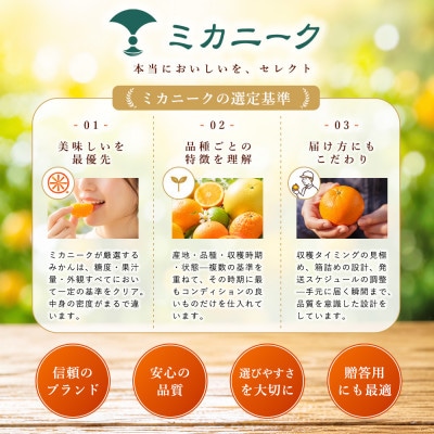 【選び抜いた一箱】鮮烈な酸味【グリーンレモン】2kg　愛媛県産