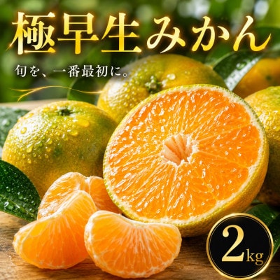 【待望の新登場】秋の先取り【極早生みかん】2kg　愛媛県産