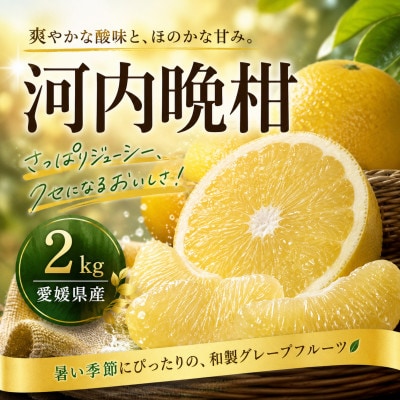 【選ぶならこれ】和製グレープフルーツ【河内晩柑】2kg　愛媛県産