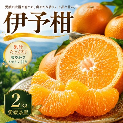 【安心して選べる】爽やかジューシー【伊予柑】2kg　愛媛県産