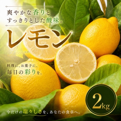 【選び抜いた一箱】香り際立つ【レモン】2kg　愛媛県産