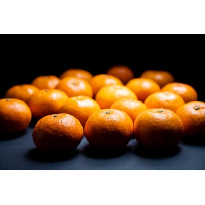 目利きが選んだ、甘さの基準。愛媛みかん2kg