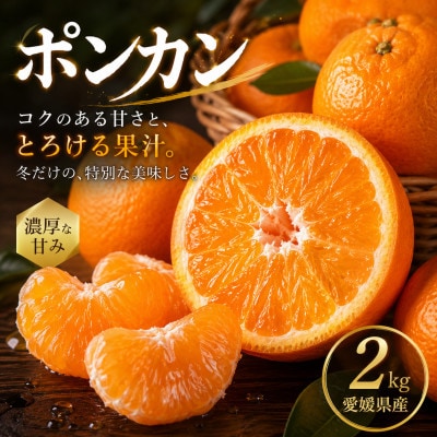 【安心して選べる】昔ながらの美味しさ【ポンカン】2kg　愛媛県産