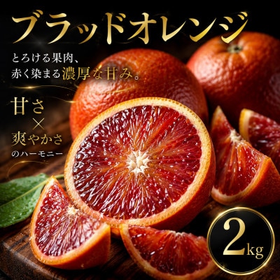 【いま注目されています】ワインのような深み【ブラッドオレンジ】2kg　愛媛県産