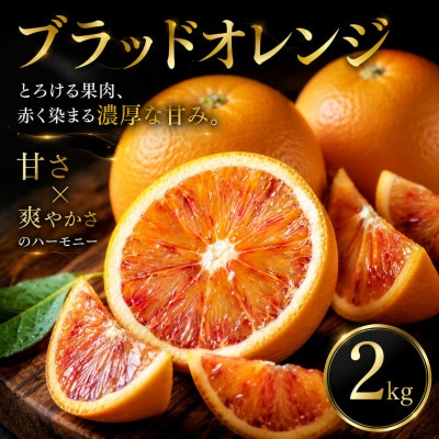 【いま注目されています】ワインのような深み【ブラッドオレンジ】2kg　愛媛県産
