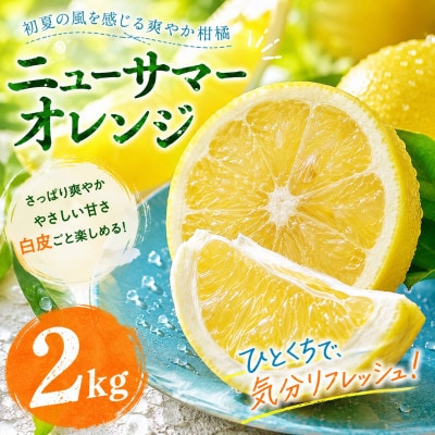 【選ぶならこれ】初夏の爽快感【ニューサマーオレンジ】2kg　愛媛県産