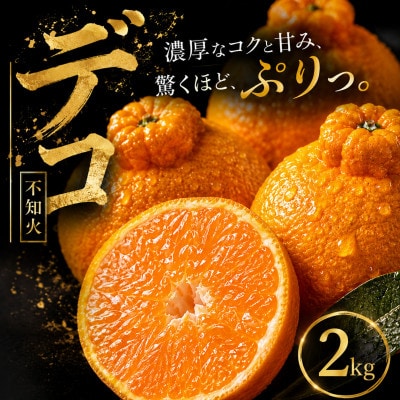 【早い者勝ち】深い甘み【デコ(不知火)(デコポンと同品種)】2kg　愛媛県産