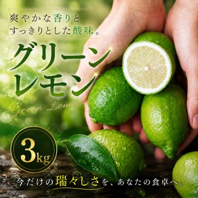 【選び抜いた一箱】鮮烈な酸味【グリーンレモン】3kg　愛媛県産