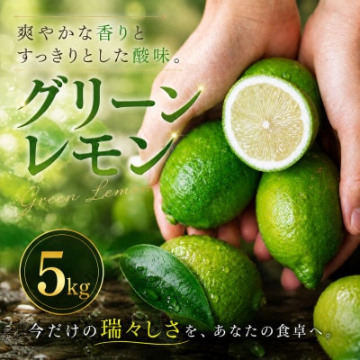 【選び抜いた一箱】鮮烈な酸味【グリーンレモン】5kg　愛媛県産