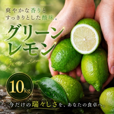 【選び抜いた一箱】鮮烈な酸味【グリーンレモン】10kg　愛媛県産