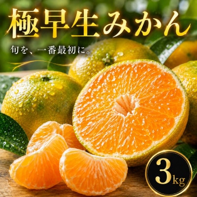 【待望の新登場】秋の先取り【極早生みかん】3kg　愛媛県産