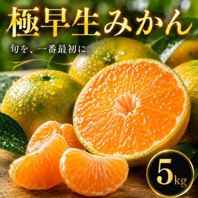 【待望の新登場】秋の先取り【極早生みかん】5kg　愛媛県産