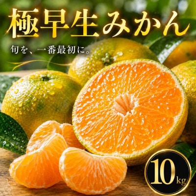【待望の新登場】秋の先取り【極早生みかん】10kg　愛媛県産