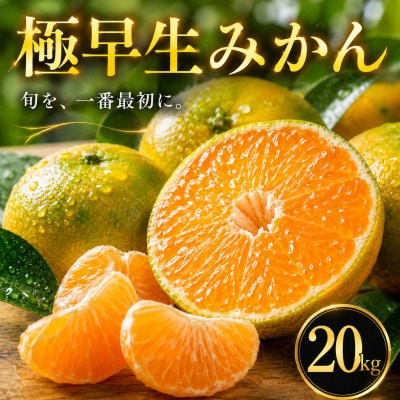 【待望の新登場】秋の先取り【極早生みかん】20kg　愛媛県産