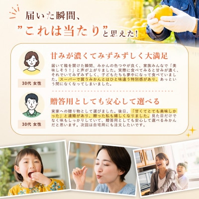 【急いで確保】シャキッと果肉【甘平】10kg　愛媛県産