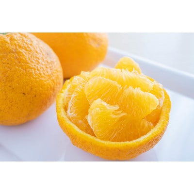 甘さより先に、爽やかさが来る。愛媛・甘夏4kg
