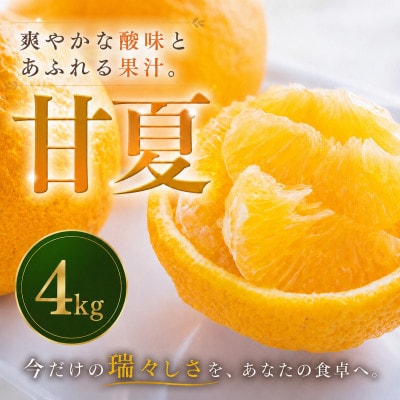 【安心して選べる】甘酸っぱい爽快感【甘夏】4kg　愛媛県産