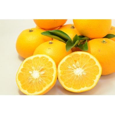 甘さより先に、爽やかさが来る。愛媛・甘夏4kg