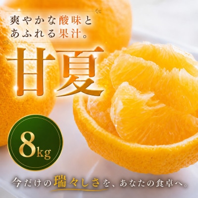 【安心して選べる】甘酸っぱい爽快感【甘夏】8kg　愛媛県産
