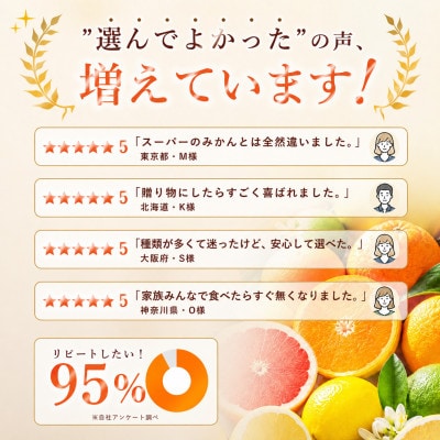 【安心して選べる】甘酸っぱい爽快感【甘夏】8kg　愛媛県産