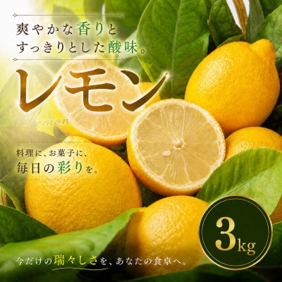 【選び抜いた一箱】香り際立つ【レモン】3kg　愛媛県産
