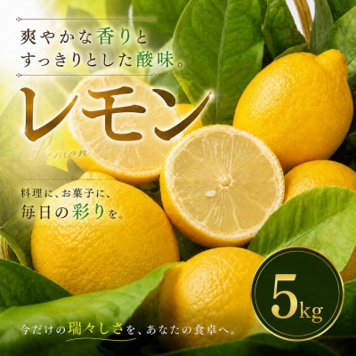 【選び抜いた一箱】香り際立つ【レモン】5kg　愛媛県産