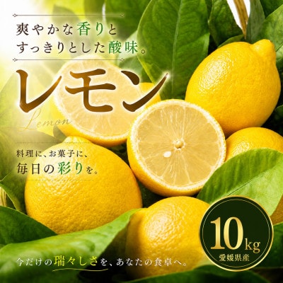 【選び抜いた一箱】香り際立つ【レモン】10kg　愛媛県産