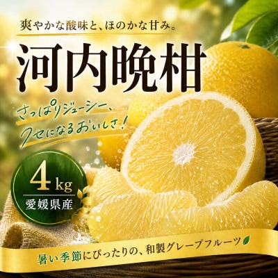 【選ぶならこれ】和製グレープフルーツ【河内晩柑】4kg　愛媛県産