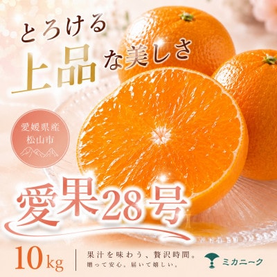 【数に限りあり】ゼリー食感【愛果28号(紅まどんなと同品種)】10kg　愛媛県産