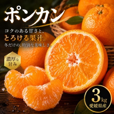 【安心して選べる】昔ながらの美味しさ【ポンカン】3kg　愛媛県産