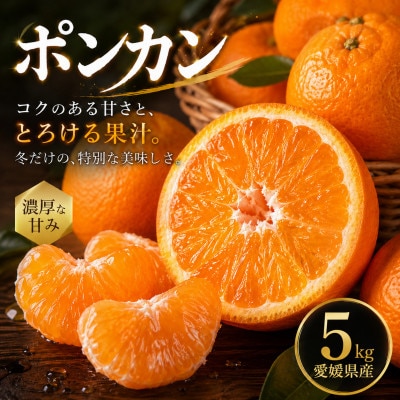 【安心して選べる】昔ながらの美味しさ【ポンカン】5kg　愛媛県産