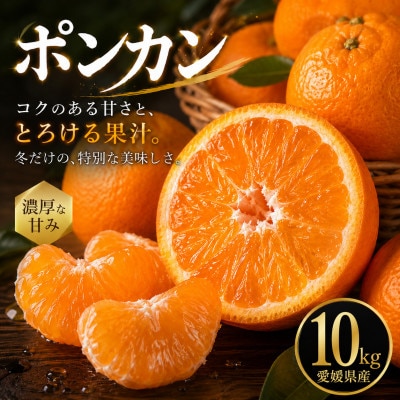 【安心して選べる】昔ながらの美味しさ【ポンカン】10kg　愛媛県産