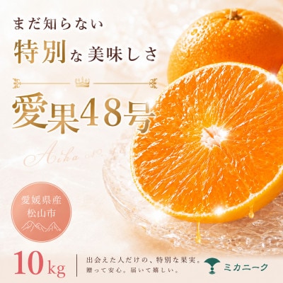 【知る人ぞ知る】幻の新品種【愛果48号(紅プリンセスと同品種)】10kg　愛媛県産