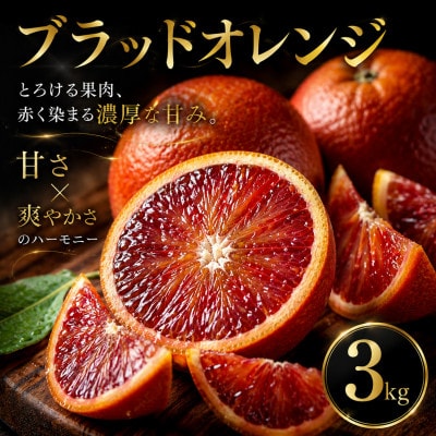 【いま注目されています】ワインのような深み【ブラッドオレンジ】3kg　愛媛県産