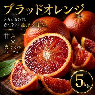 【いま注目されています】ワインのような深み【ブラッドオレンジ】5kg　愛媛県産