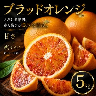 【いま注目されています】ワインのような深み【ブラッドオレンジ】5kg　愛媛県産