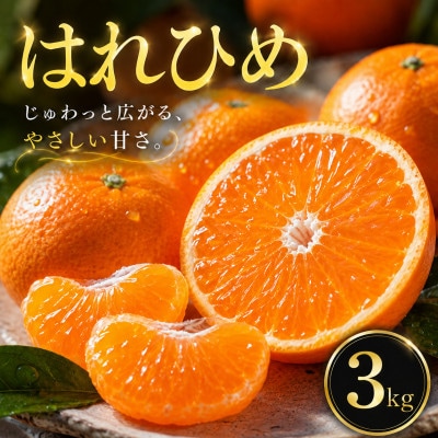 【選ぶならこれ】とろける甘み【はれひめ】3kg　愛媛県産