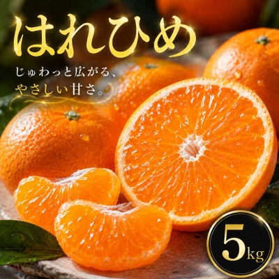 【選ぶならこれ】とろける甘み【はれひめ】5kg　愛媛県産