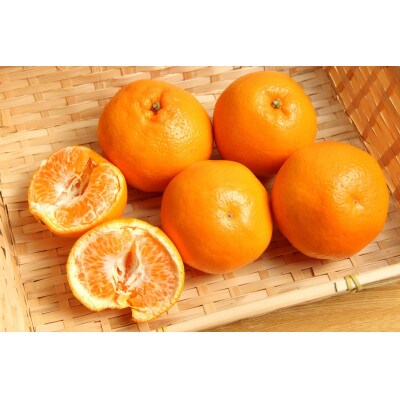 プチッと弾けた瞬間、甘さが追いかける。愛媛・はるみ3kg