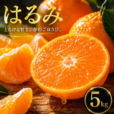 【選ぶならこれ】ぷちぷち食感【はるみ】5kg　愛媛県産